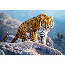 Пазл Castorland 500 Tiger on the Rocks (В-53346)