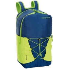 Geanta frigorifica GioStyle Active 28L (39545)