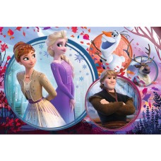 Пазл Trefl 160 Disney Frozen II (15374)