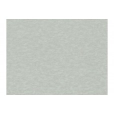 Обои Rasch 964820 Filigrano