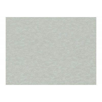 Обои Rasch 964820 Filigrano