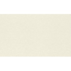 Обои Rasch 964806 Filigrano