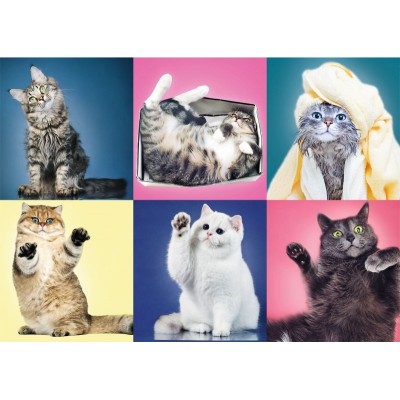 Puzzle Trefl 500 Kittens (37377)