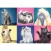 Puzzle Trefl 500 Kittens (37377)