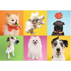 Puzzle Trefl 500 Dogs (37378)