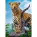 Puzzle Trefl 500 Wild leopard (37332)