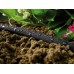 Furtun de grădină Cellfast Drip 1/2" 7.5m + set of fittings