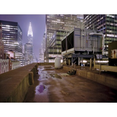 Фотообои Komar 8-732 On Top