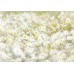 Фотообои Komar 8-994 Daisies