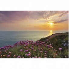 Фотообои Komar 8-901 Land's End