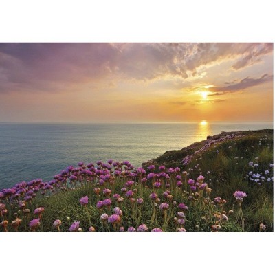 Фотообои Komar 8-901 Land's End