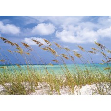 Фотообои Komar 8-515 Ocean Breeze