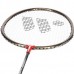 Rachete pentru badminton Wish 316K 2pcs