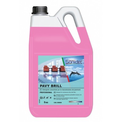 Detergent pentru suprafețe Sanidet Pavy Brill (SD0850)