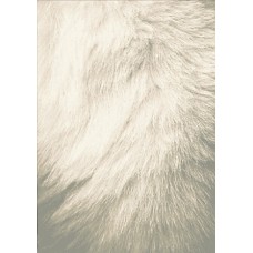 Ковёр Verstraete & Verbauwede Hampton (M642-26) 2.00x3.00m