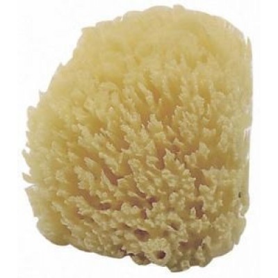 Burete de baie pentru copii Jane Natural Sea Sponge 2pcs (40103)