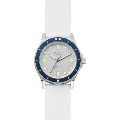 Наручные часы Skagen SKW2916