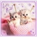 Puzzle Trefl 3in1 Sweet kittens (34809)