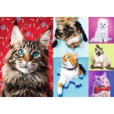 Puzzle Trefl 1000 Happy cats (10591)