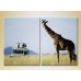 Pictură ArtPoster Giraffe and tourists (2502423)