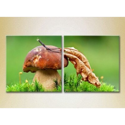 Картина ArtPoster Mushroom in Green grass (2602765)