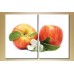 Pictură ArtPoster Apples (2602888)