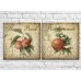 Картина ArtPoster Kitchen fruit apple (2602667)