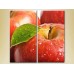 Картина ArtPoster Apples (2602676)