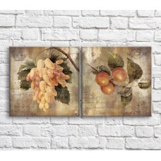 Картина ArtPoster White grapes and orange in vintage style (3478707)