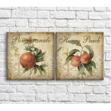 Картина ArtPoster Pomegranate and peach on a Brown background with patterns (3478727)