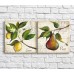 Картина ArtPoster Lemon and pear oil on text background (3478777)