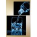 Картина ArtPoster Bottle and water (2602898)