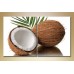 Картина ArtPoster Coconut (2602900)