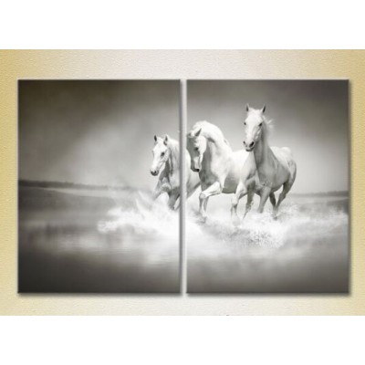 Pictură ArtPoster Three White horses 02 (2602975)