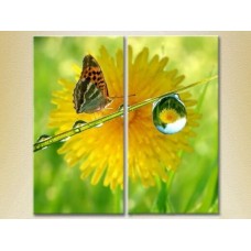 Pictură ArtPoster Butterfly and dew 01 (2602973)