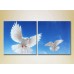 Pictură ArtPoster Two doves in flight 01 (2602997)