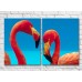 Картина ArtPoster Couple of flamingos against the blue sky (3451171)