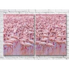 Картина ArtPoster A huge flock of pink flamingos (3451162)