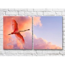 Картина ArtPoster Flamingos in the sky, bottom view (3451163)