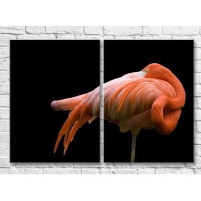 Картина ArtPoster Standing flamingo on a Black background (3451165)