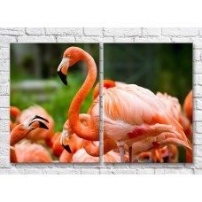 Картина ArtPoster Bright/Pink flamingo close up (3451166)