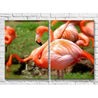 Картина ArtPoster Close up of Bright/Scarlet flamingos (3451167)