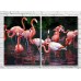 Картина ArtPoster A flock of flamingos in a dark pond (3451168)