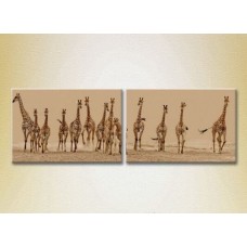 Pictură ArtPoster Herd of giraffes (2602977)