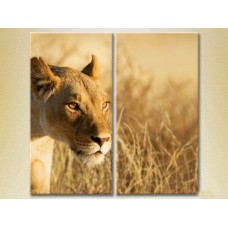 Pictură ArtPoster Lioness (2602987)