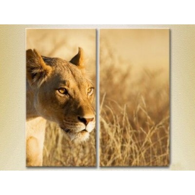 Pictură ArtPoster Lioness (2602987)