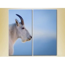 Pictură ArtPoster Mountain goat/philosopher (2603025)