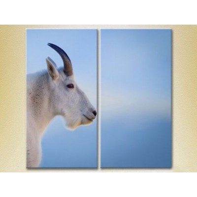 Картина ArtPoster Mountain goat/philosopher (2603025)