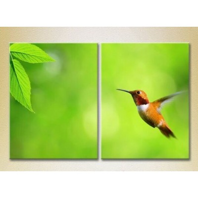 Pictură ArtPoster Colibri 02 (2603010)