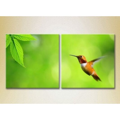 Картина ArtPoster Colibri (2603011)